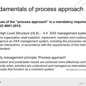 Auditing the Process Approach and Risk-Based Thinking