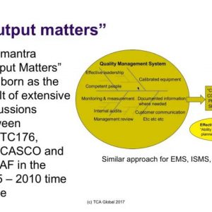 The New Generation of Management System Standards—Challenges in Auditing the More Subjective Requirements