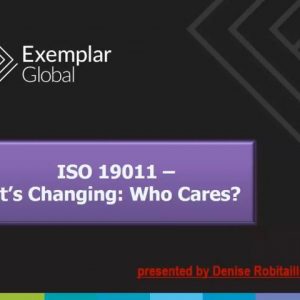 ISO 19011—It’s Changing: Who Cares?