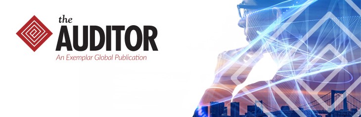auditor newsletter