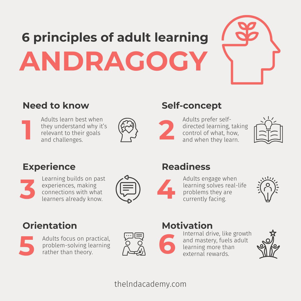 Andragogy: the 6 principles of adult learning