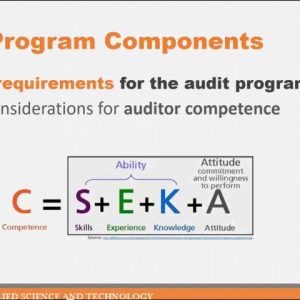Internal Auditor Independence in SMEs – Mission Impossible?