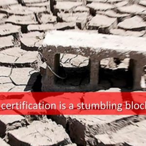 Standards and Small Business—Why Size Does Matter