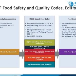 The Auditor and Audit Approach—Challenges, Opportunities, and Solutions