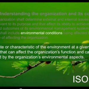 Understanding the Organization and Its Context