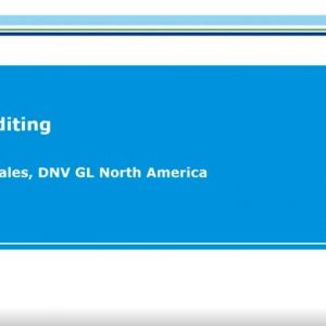 The Future Of Auditing - Bruno Samuel