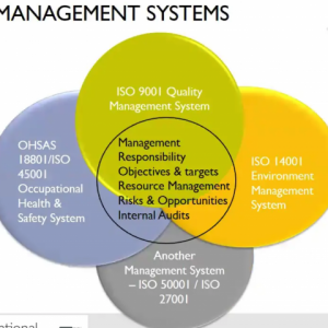 Challenges of Conducting an Integrated Audit