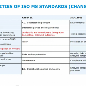 Leadership, Participation, and Consultation