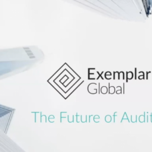 The Future of the Auditing Profession