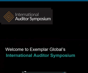 Sustainability of an Organization—Going Beyond ISO 9004