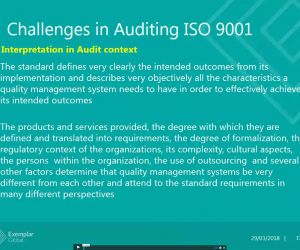 TC 176 and its Role in Defining Good Audit Practices